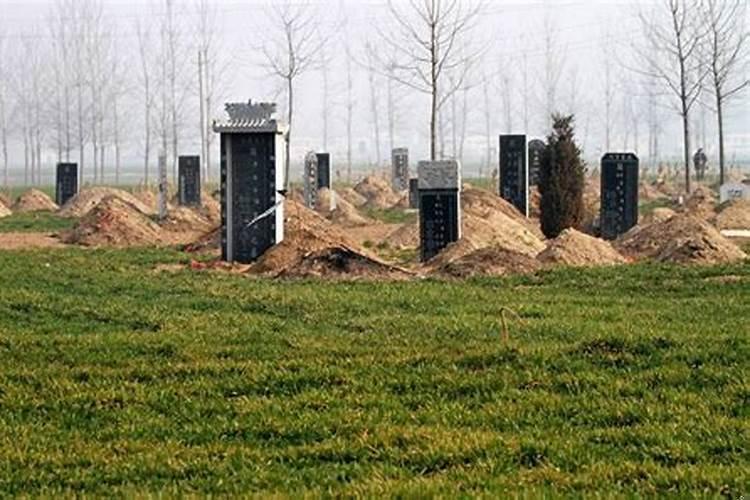 国家规定农村坟地一般占地多少