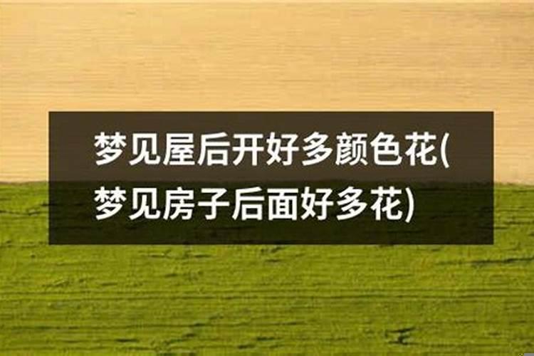 梦见卧室都是红色的如何解梦