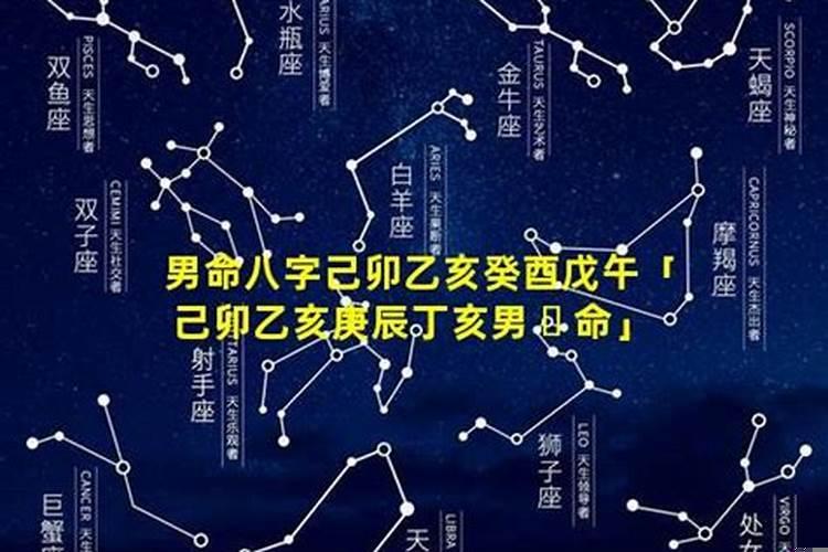 庚辰丁亥癸酉辛酉八字