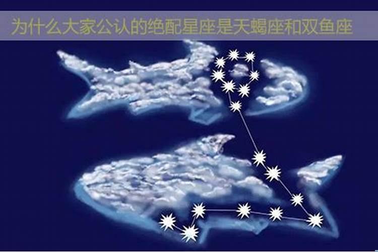 为什么天蝎和狮子是死对头