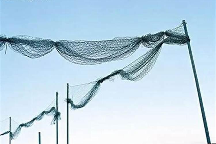 做梦梦到买渔具