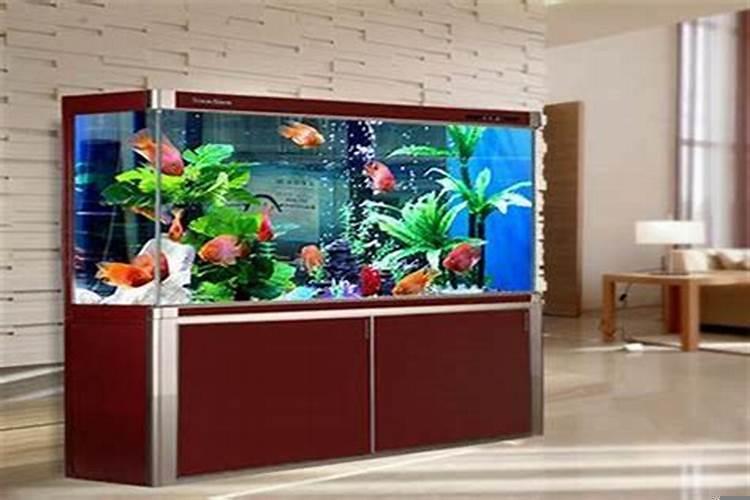 鱼缸摆放的讲究