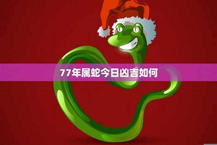 77年属蛇人21年运程