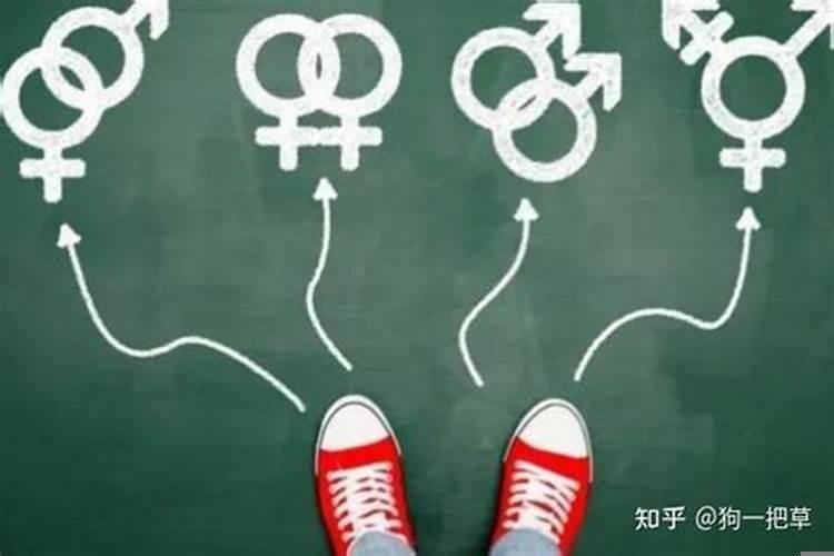 婚后发现性取向有问题