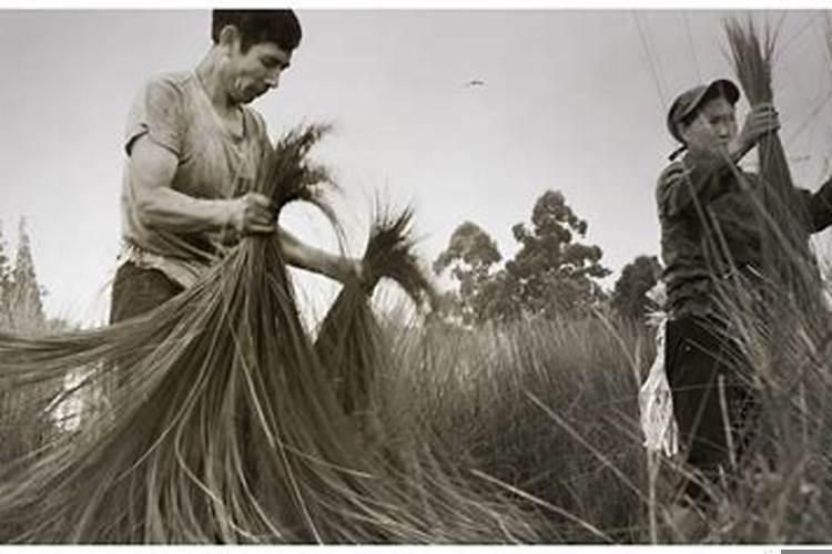 劳累一生是什么意思