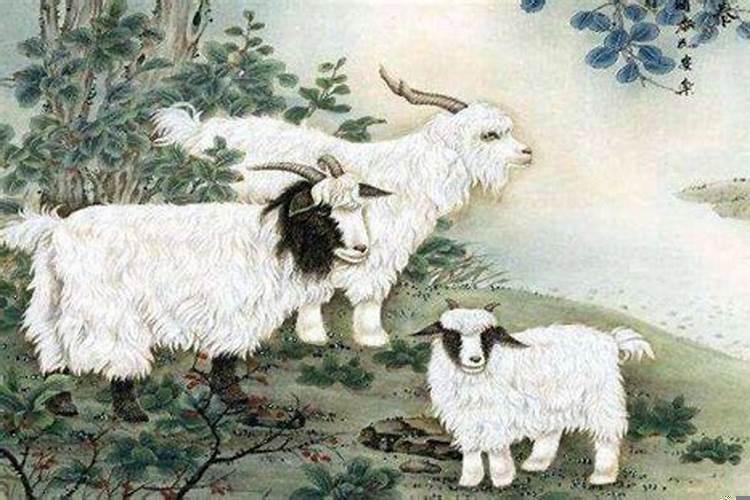 属羊的脾气性格怎么样