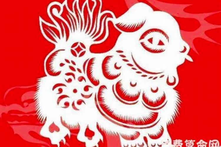 生肖狗的全面解析是什么