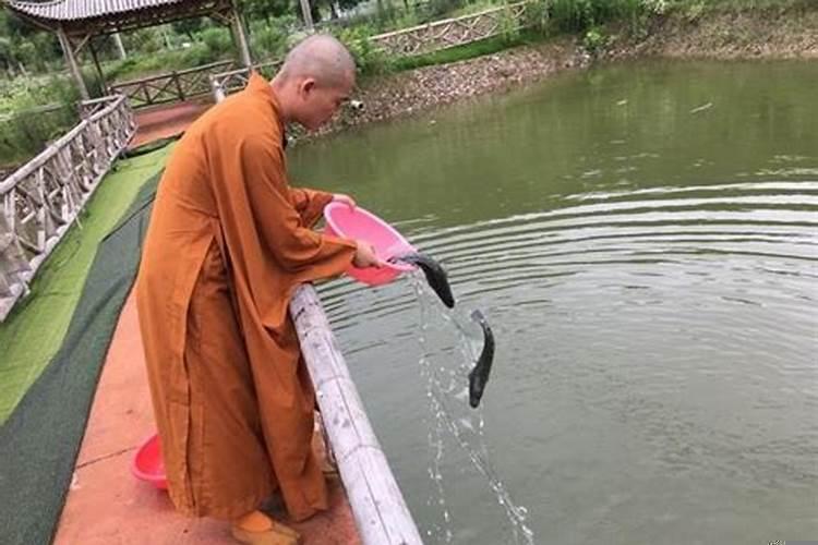 放生的好处和功德的事例