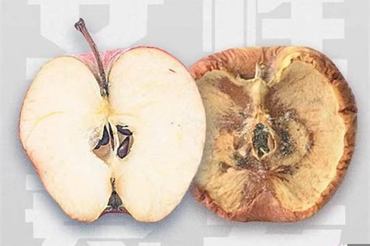 1993年属鸡2021年会怀孕吗