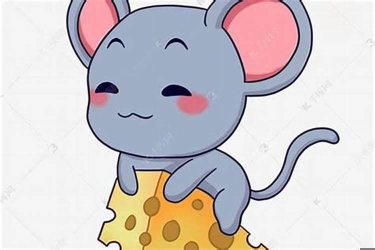 因为什十二生肖老鼠第一