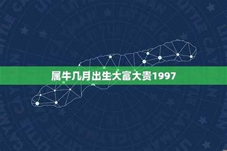 1997年农历几月牛命苦