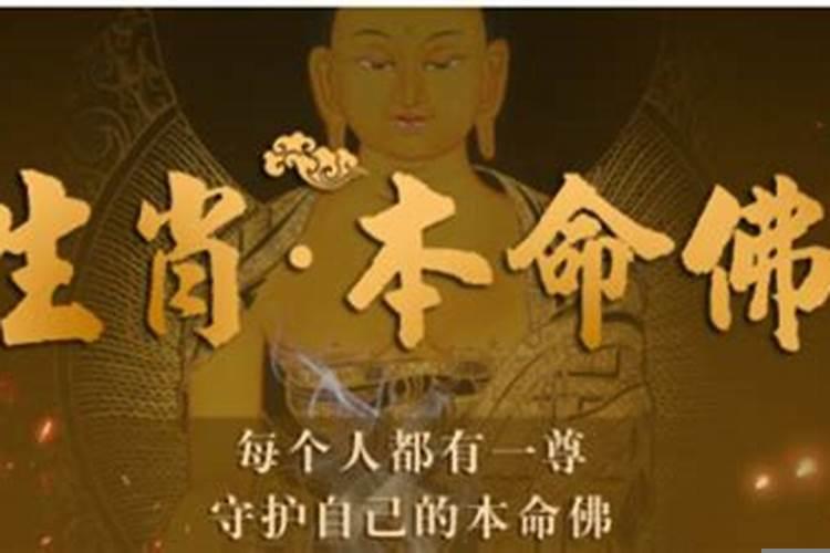 升官发财是指什么生肖