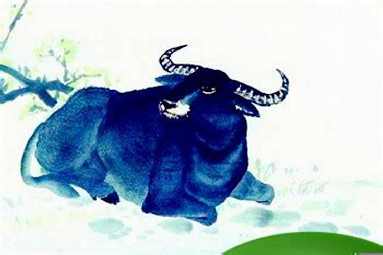 1997年农历几月牛命苦