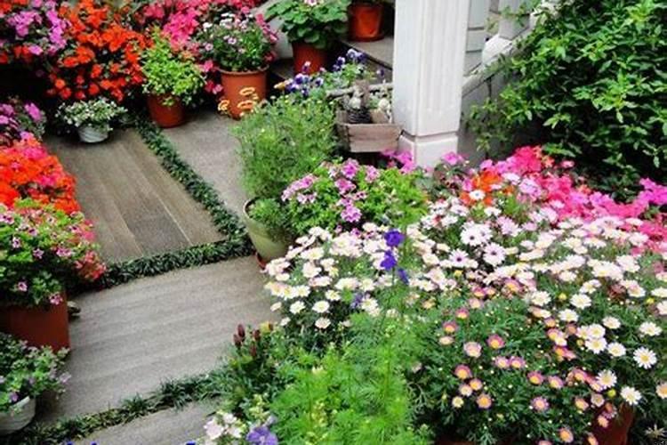 鱼缸最佳位置摆放建议