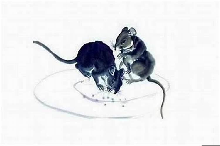 2021年鼠适合戴什么