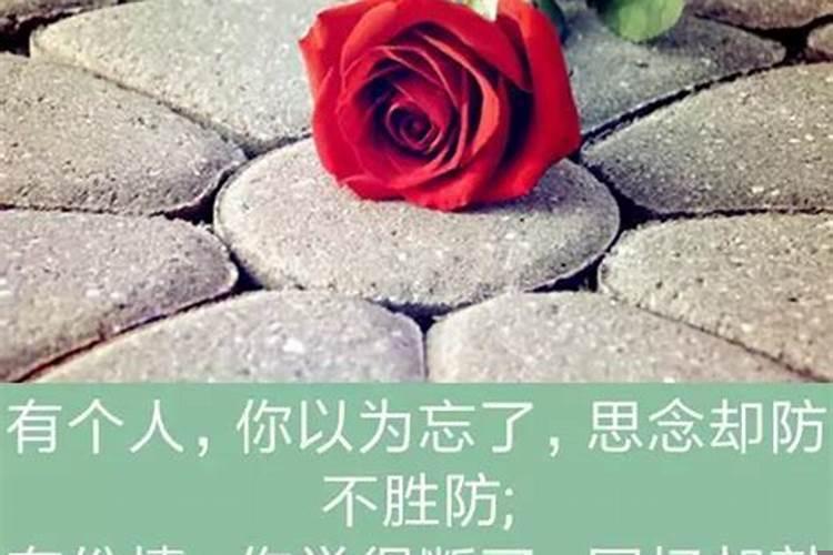 梦见她说明她在遗忘你