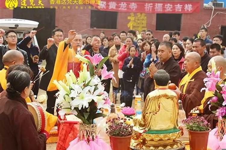 放生的好处和功德的事例