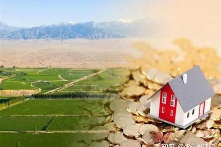 良田田梗上能栽树吗