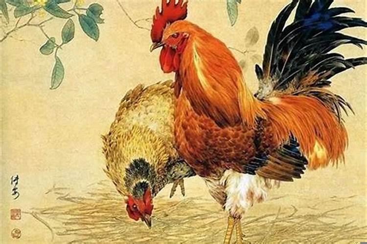 生肖鸡最忌讳