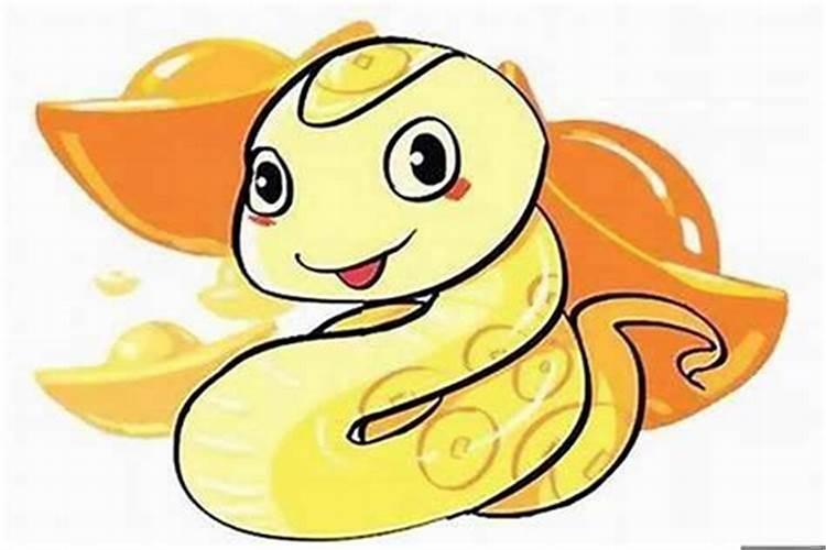 属蛇女应该佩戴什么