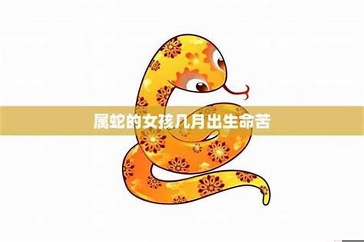 属蛇与属蛇的婚姻