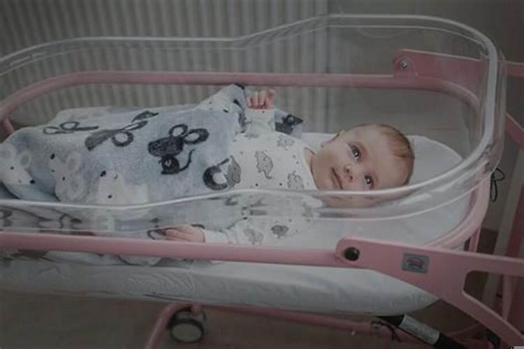 梦到很大一只老鼠在咬我