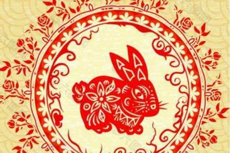 属兔人最怕什么生肖