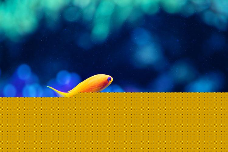 最近什么时间搬家好