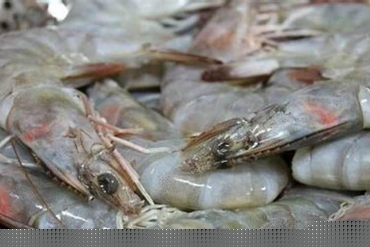 做梦梦见鱼和虾是什么意思