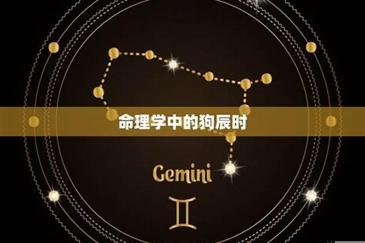 82年7月的狗是什么命