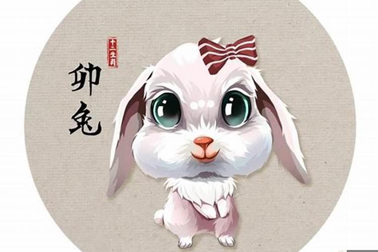 属兔的适合和属什么的人在一起