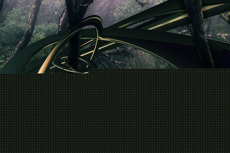 大门两侧种什么树旺财