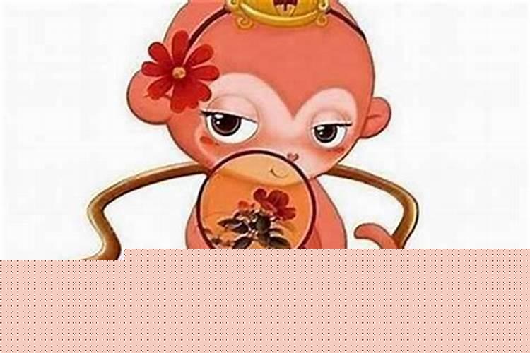 80年的猴配哪个属相最好