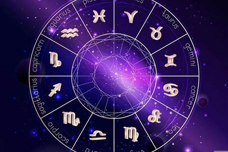 属兔的适合和属什么的人在一起