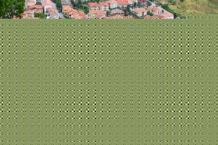 灞炵浉鍐叉棩绂佸繉