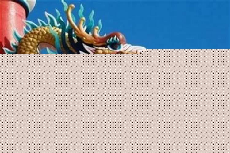 龙与什么属相相配最不好