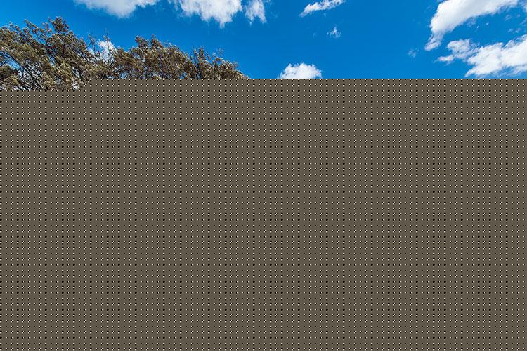 鍑虹敓鏃惰景涓嶅噯鎬庝箞纭畾鍏瓧