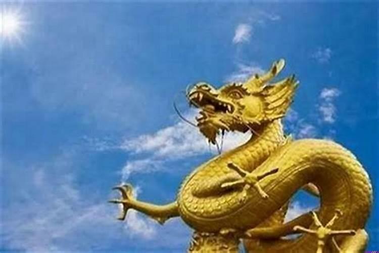 属猪做什么生意能发财