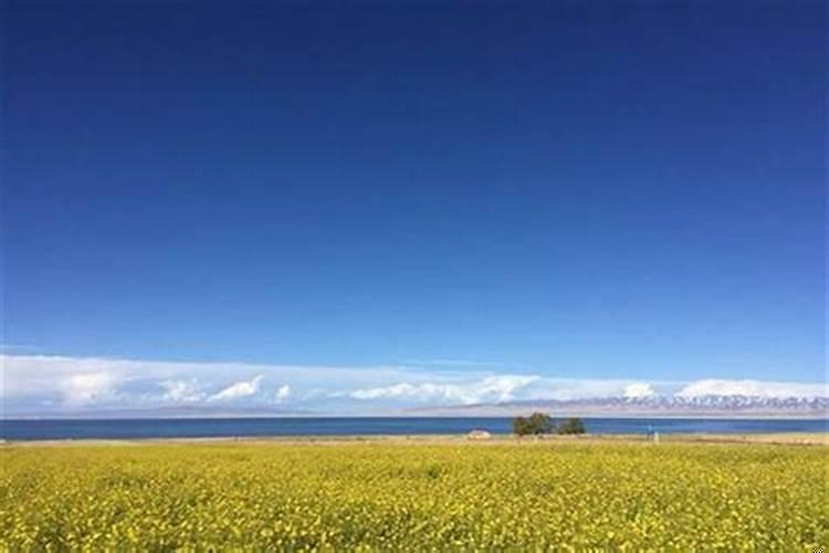 有些人会吸走你的运气吗