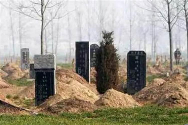 墓碑朝向东南好吗