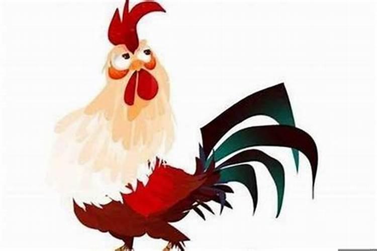 属鸡的可以配属鸡的吗