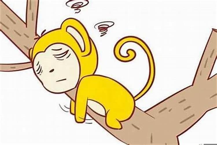 属猴人配属什么的最好