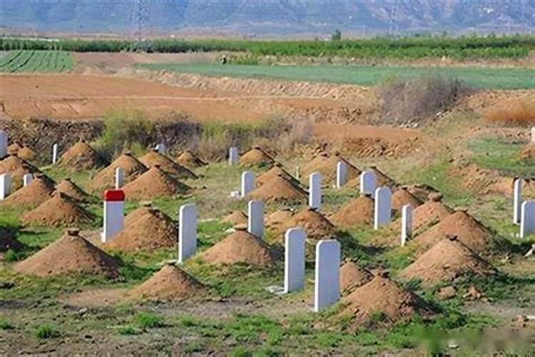 圆坟什么人不能去坟地