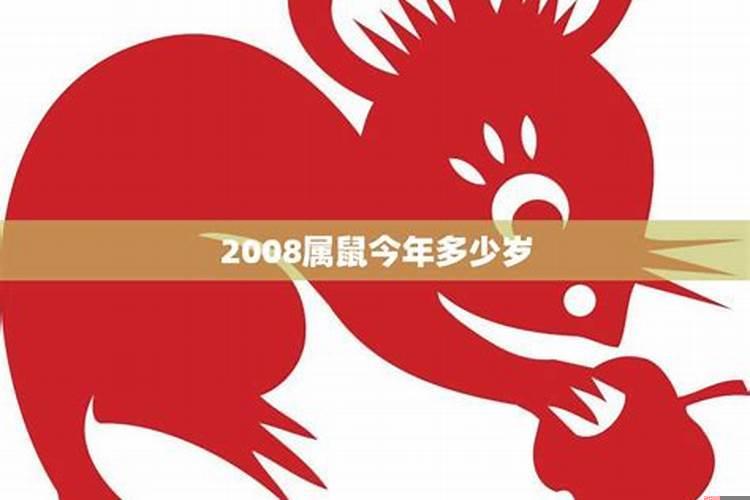 属鼠的今年几岁了2008