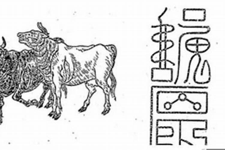 属牛的财位方向