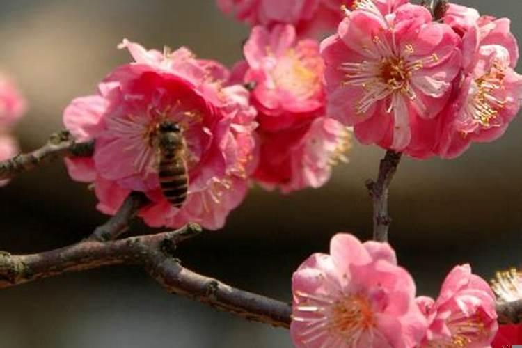 工作中有贵人相助