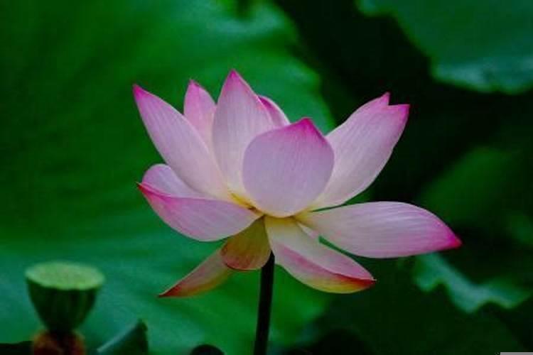 和合法事做几天