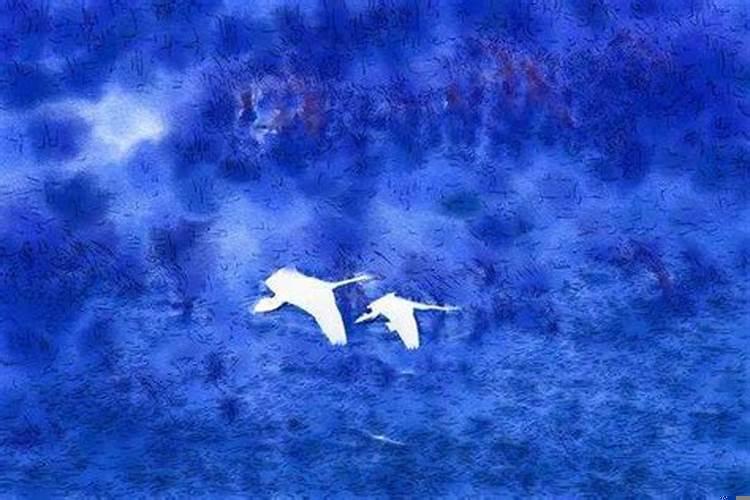 蓝色的梦的意思是什么