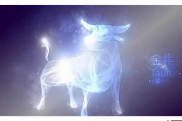 高冷闷骚的星座