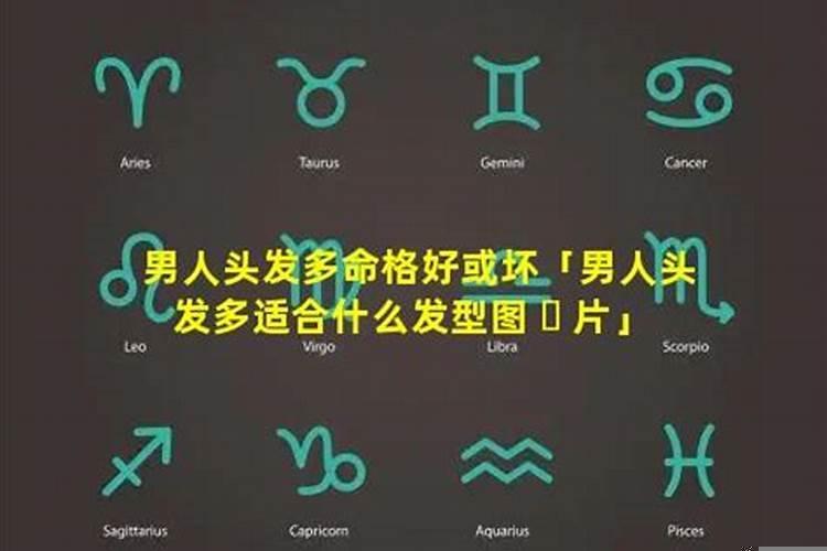 头发多的人命好